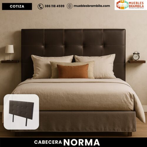 CABECERA NORMA